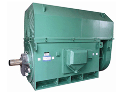 鄞州Y系列6KV高压电机